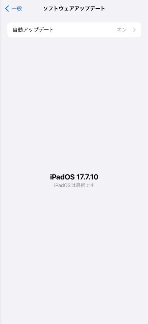 iPad 第6世代 32GB Cellular シルバー バッテリー95%