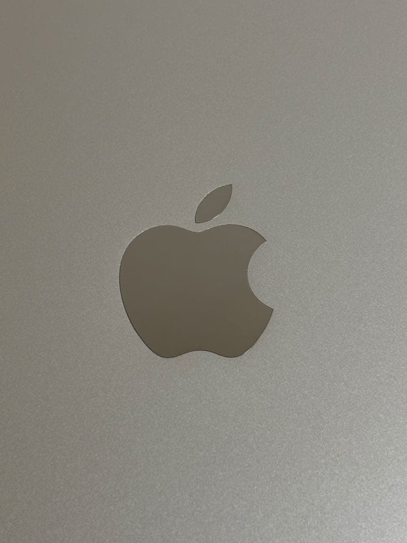 iPad 第6世代 32GB Cellular シルバー バッテリー95%