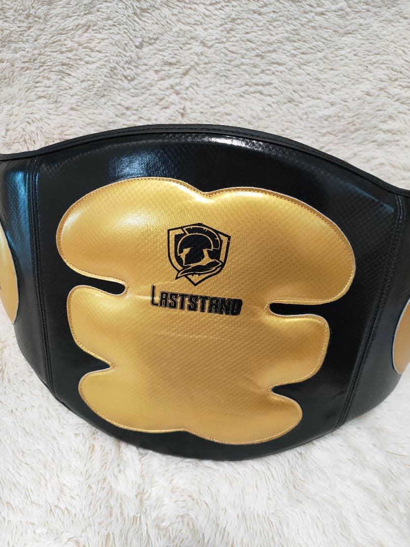 LASTSTAND ボディプロテクター ミット 黒金 Free 空手 ボクシング