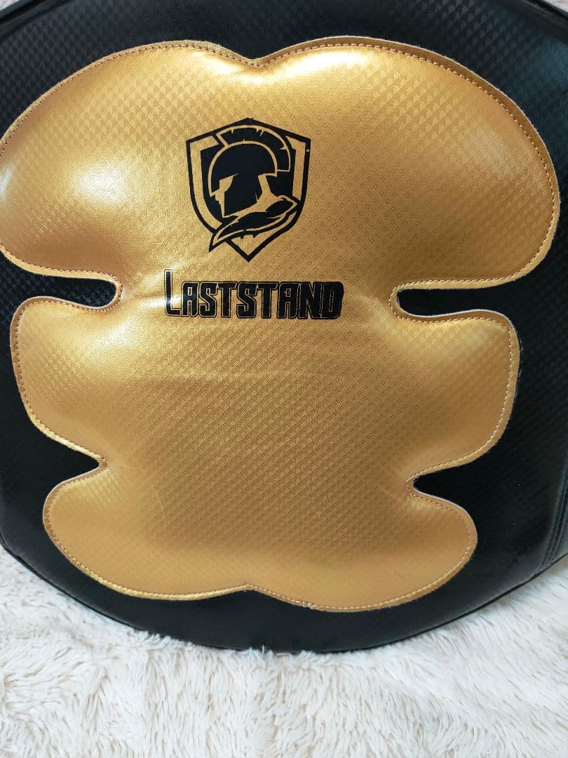 LASTSTAND ボディプロテクター ミット 黒金 Free 空手 ボクシング