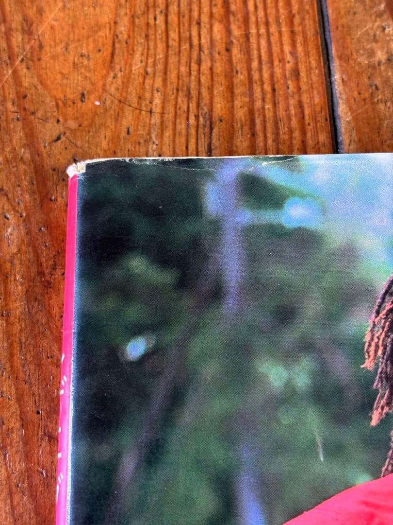 アート・デザイン・音楽 REGGAE BLOODLINES
