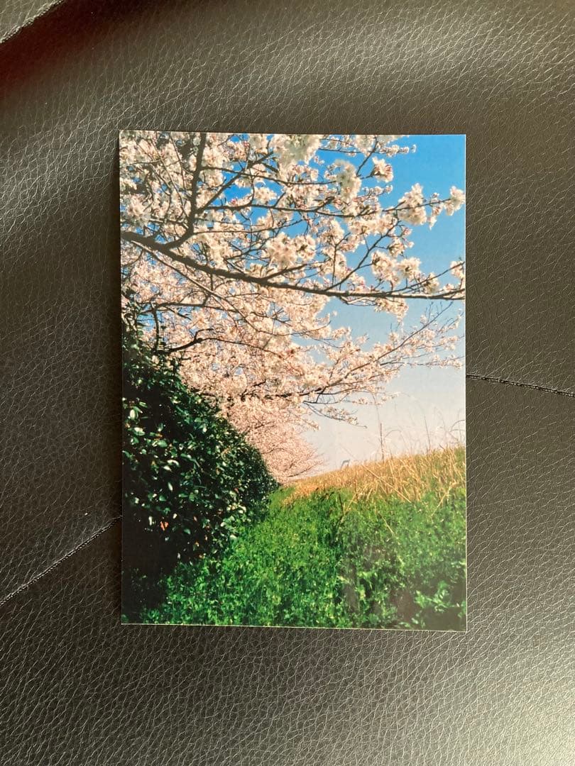 ❇️ Konica C35 とフィルムセット❇️ ✅ 自然光では良く写ります。