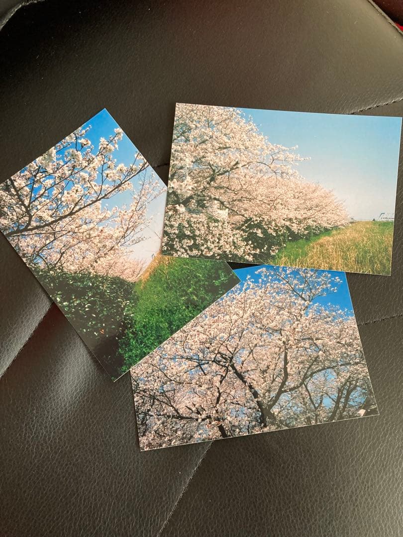 ❇️ Konica C35 とフィルムセット❇️ ✅ 自然光では良く写ります。