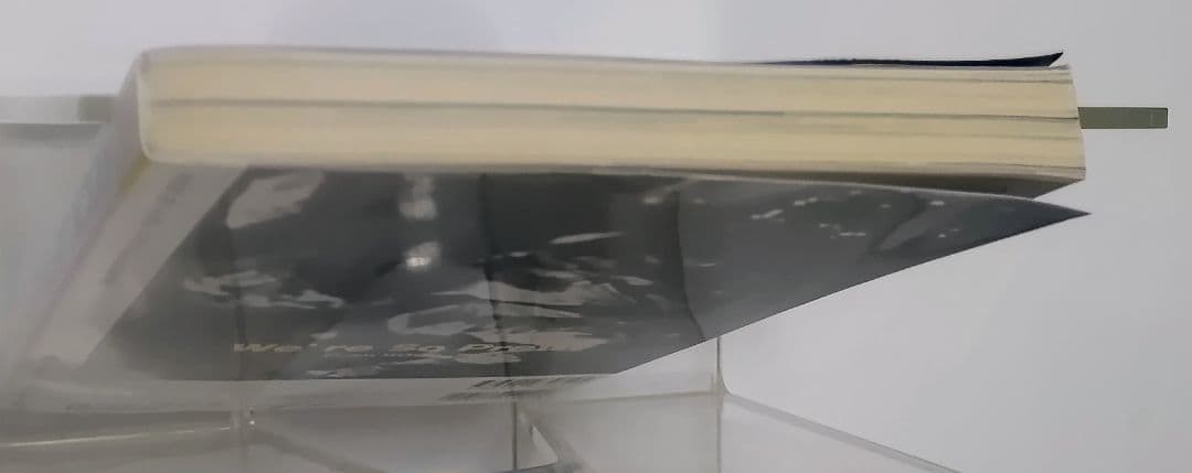 シド・ヴィシャス 流星のように　ロックジェット VOL.35