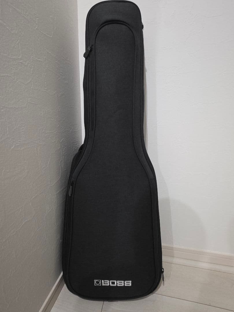 ギター LTD EC-1000 Deluxe