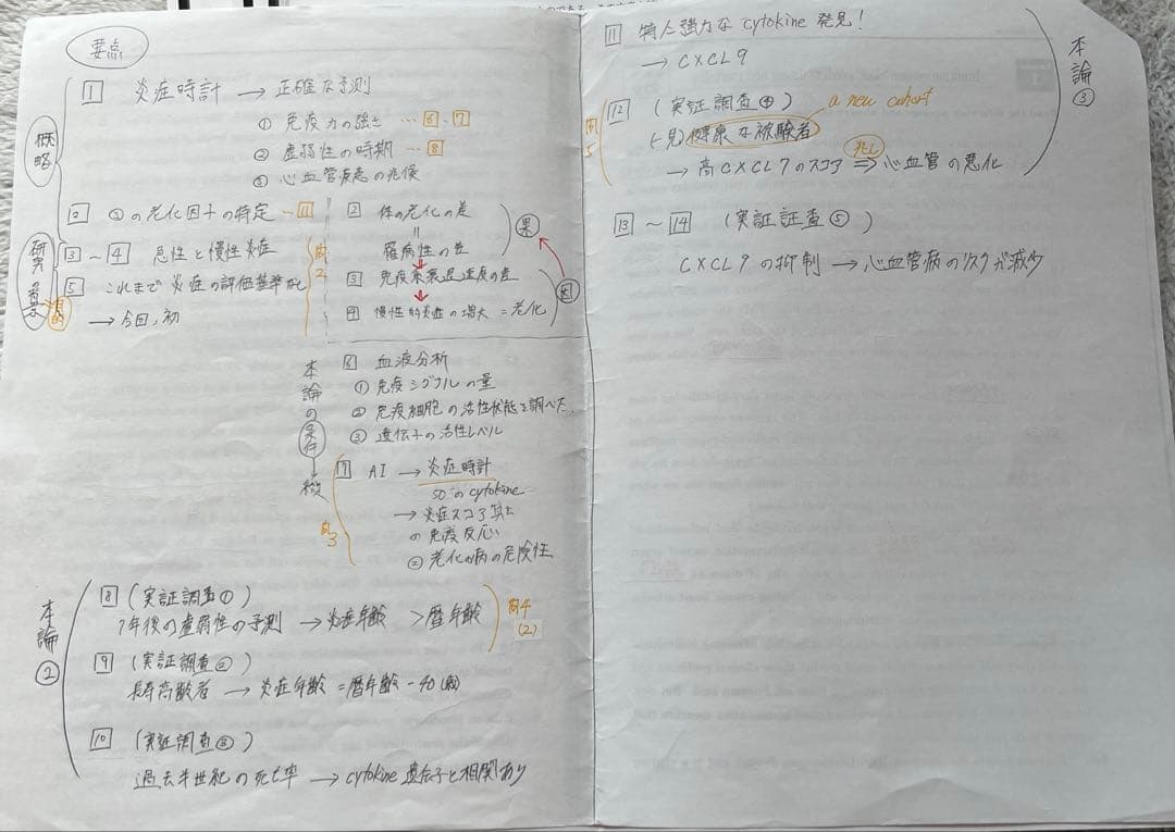 医系英語 夏期 2025 板書ノート付き 佐山師