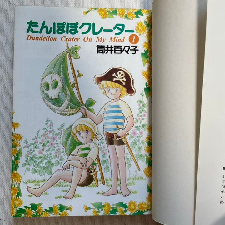 たんぽぽクレーター 全2巻 筒井百々子 小学館 プチフラワーコミックス 初版