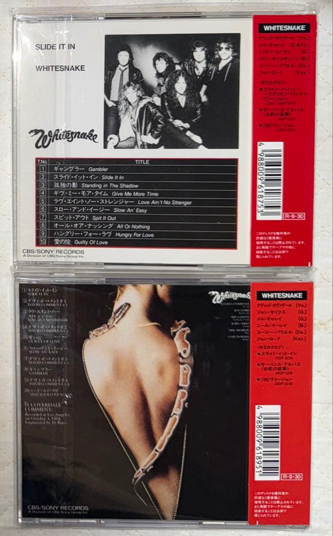 国内盤2枚セット！WHITESNAKE/ホワイトスネイク/スライド・イット・イン