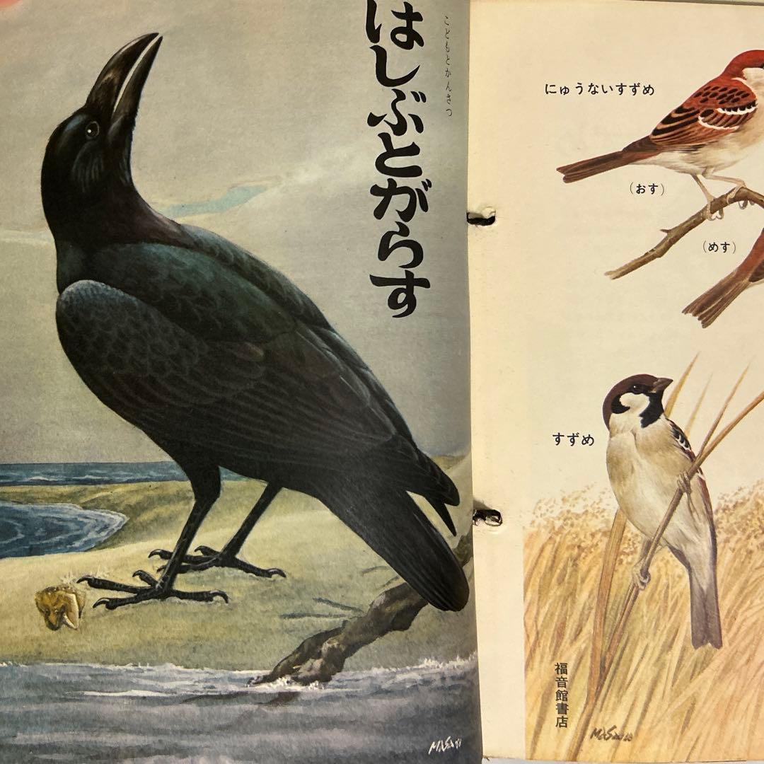こどものとも 付録 藪内正幸画