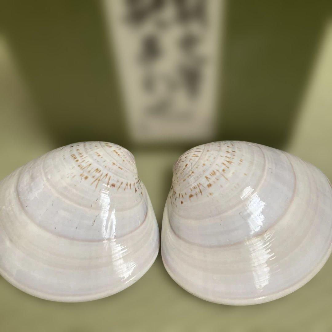 貝合わせ　王朝文筆　五組