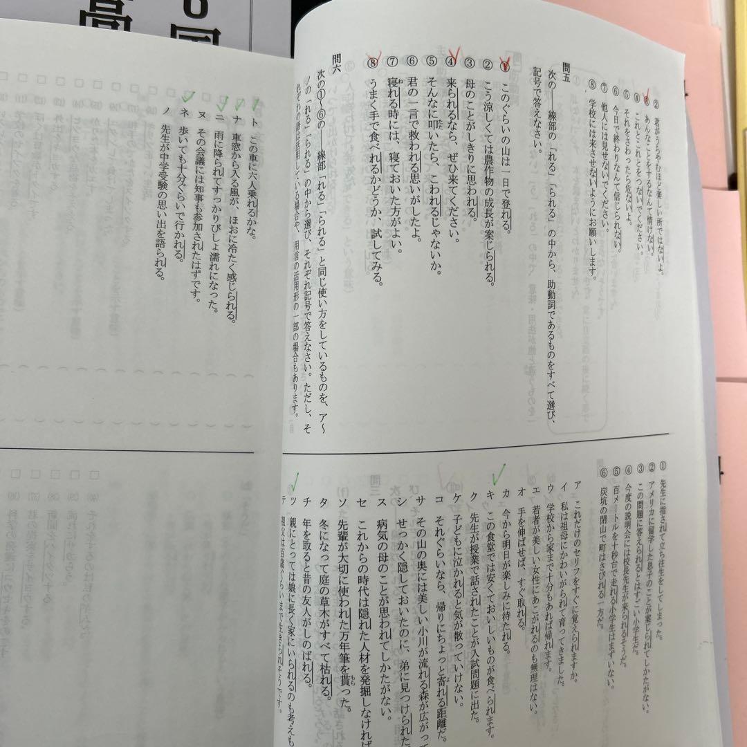 小6 最高レベル特訓問題集　国語　理科　算数　6年生