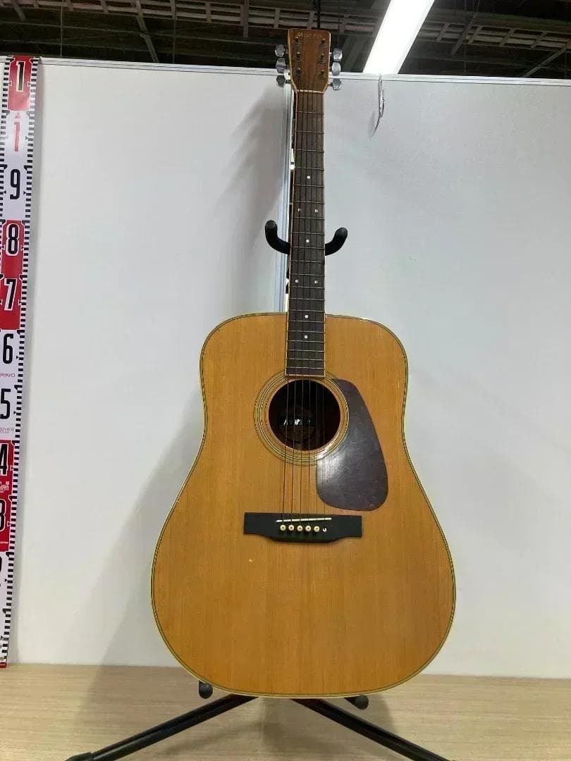 Morris アコースティックギター MD-507
