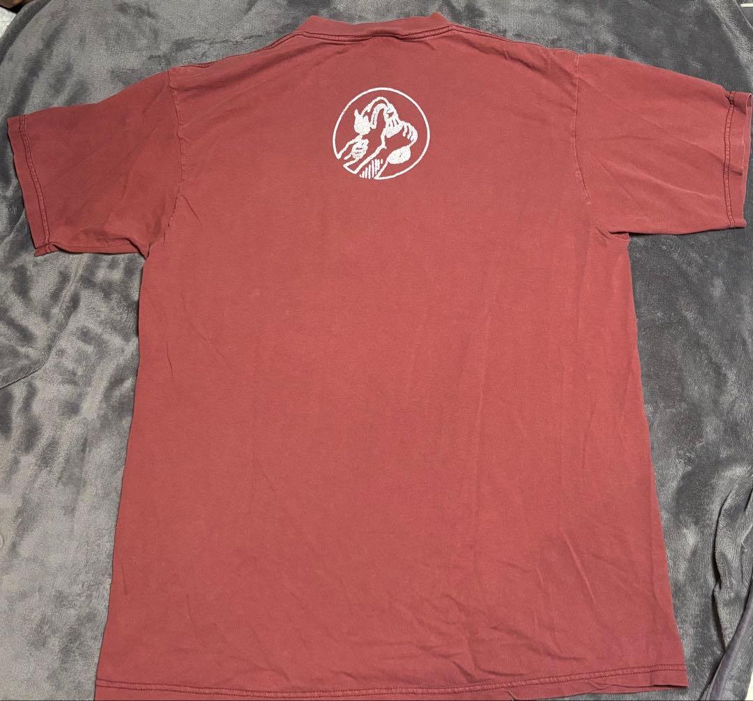 rage against the machine Tシャツ TULTEX　火炎瓶