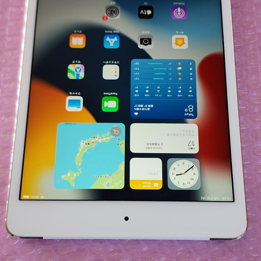 超美品　iPad mini 第4世代　バッテリー良好　64GB　SIMフリー