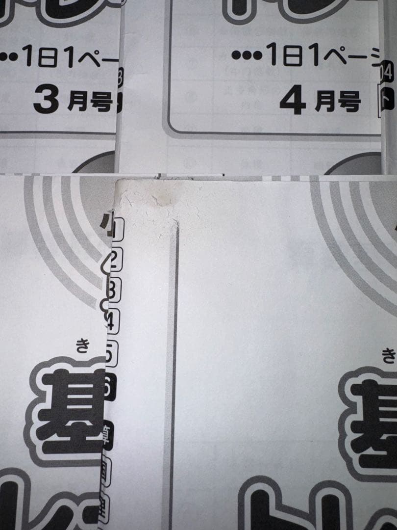 SAPIX基礎力トレーニング 6年生　1〜12月セット