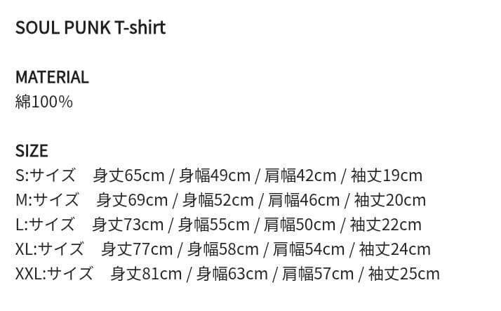 新品 Hi-STANDARD ハイスタ SNB Tシャツ ハイスタンダード①