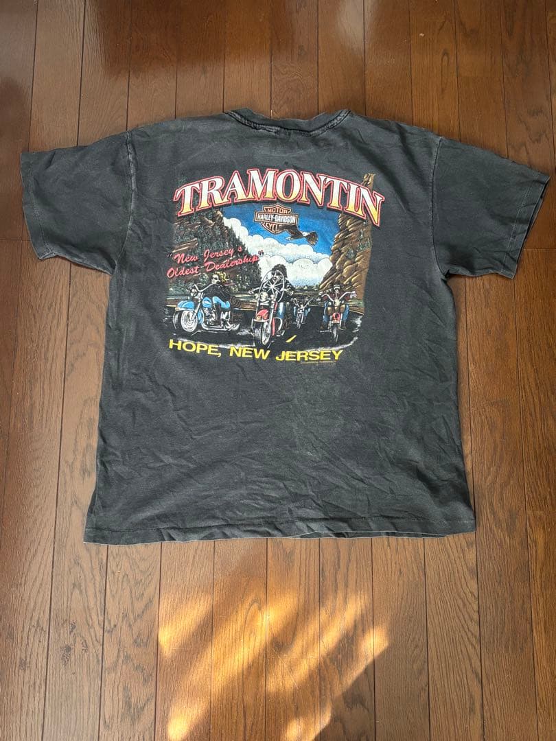プ*！様 Harley-DavidsonTシャツ TRAMONTIN NEW J