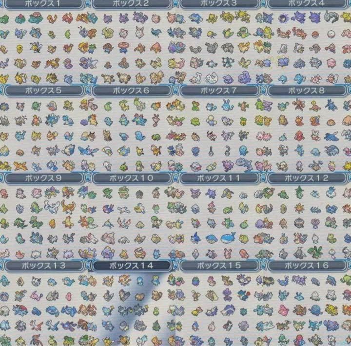 ポケットモンスター　ウルトラムーン　ケースあり