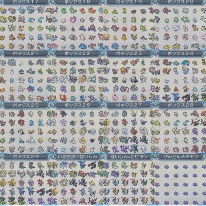 ポケットモンスター　ウルトラムーン　ケースあり