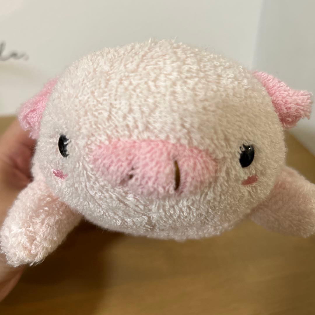 【かっしー】フリッカ まつもと ましゅまろぴろー ぶた
