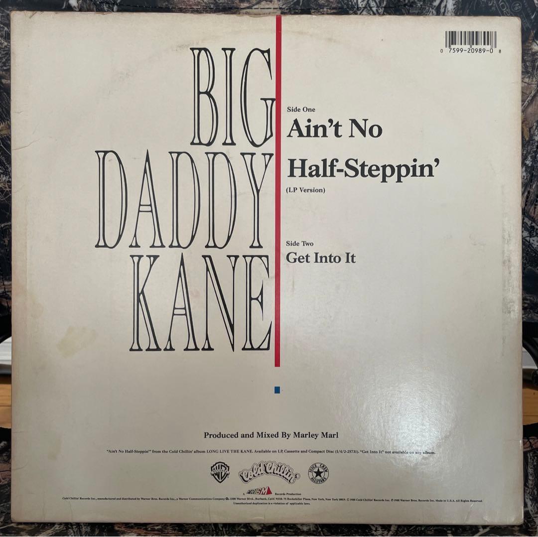 洋楽 BIG DADDY KANE - AIN'T NO HALF-STEPPIN'