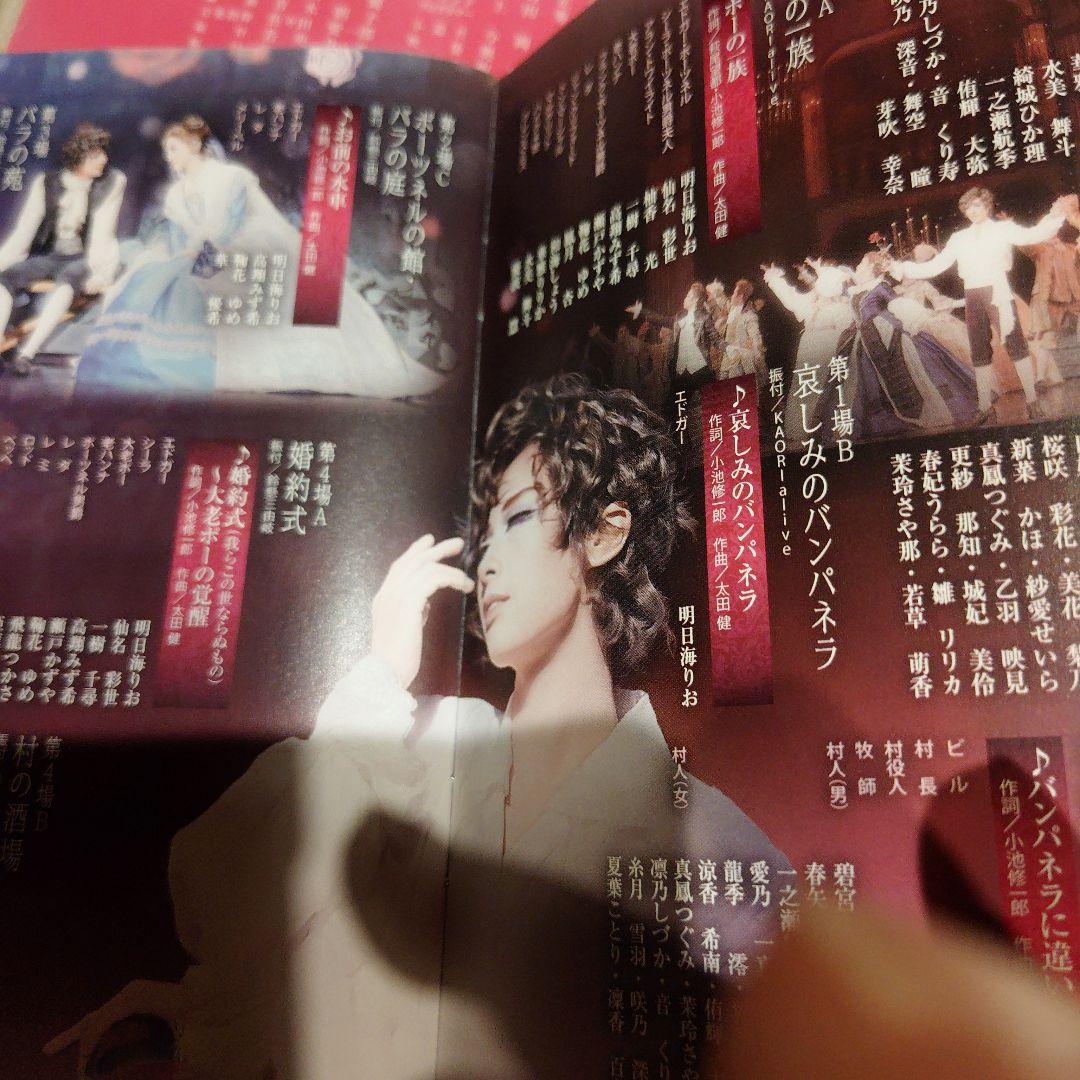 花組 ミュージカル・ゴシック ポーの一族DVD チラシ ブロマイド