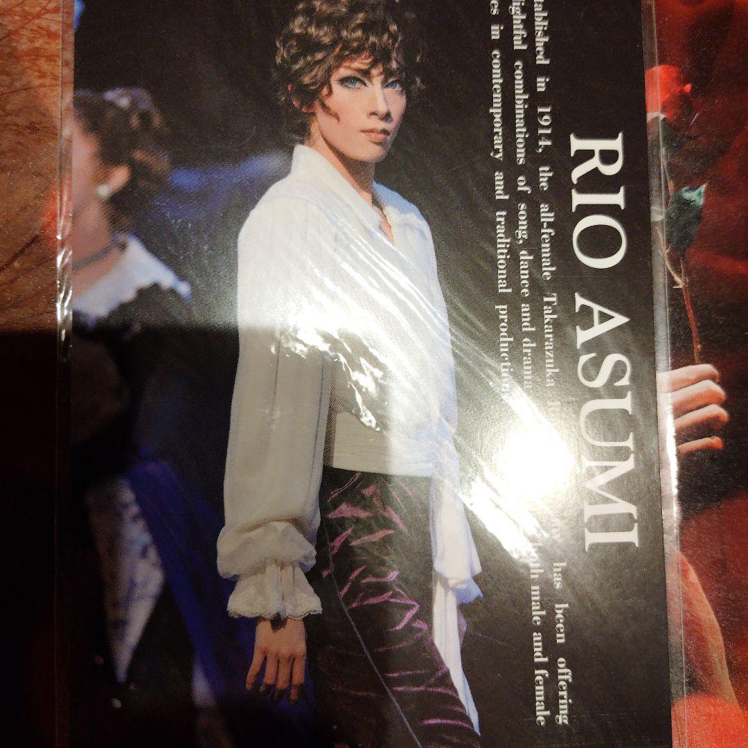 花組 ミュージカル・ゴシック ポーの一族DVD チラシ ブロマイド