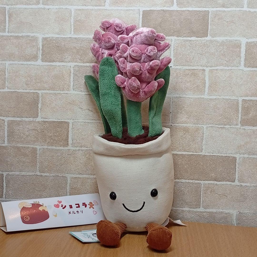  Hyacinth ジェリーキャット　ヒヤシンス お花　植木鉢