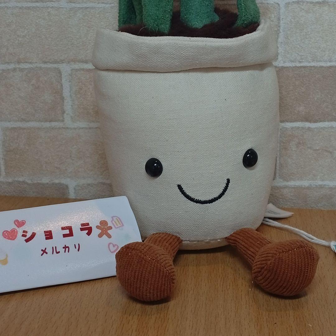  Hyacinth ジェリーキャット　ヒヤシンス お花　植木鉢