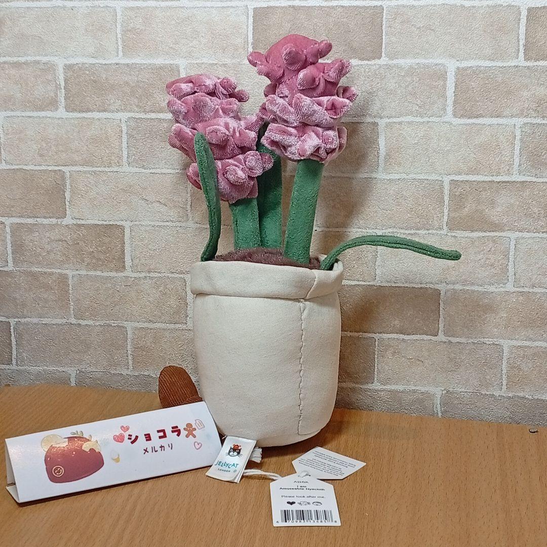  Hyacinth ジェリーキャット　ヒヤシンス お花　植木鉢