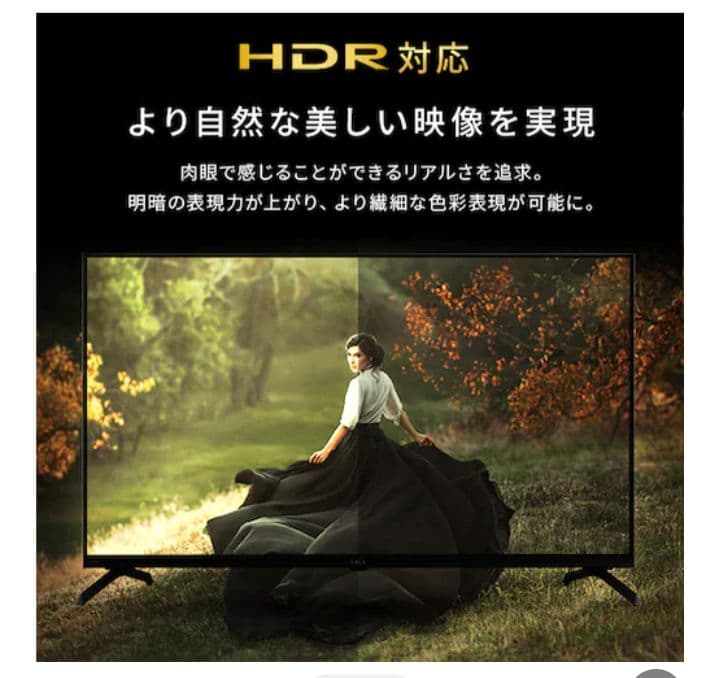 【新品/2年保証】アイリスオーヤマ 40v型 テレビ LT-40FGX-F1
