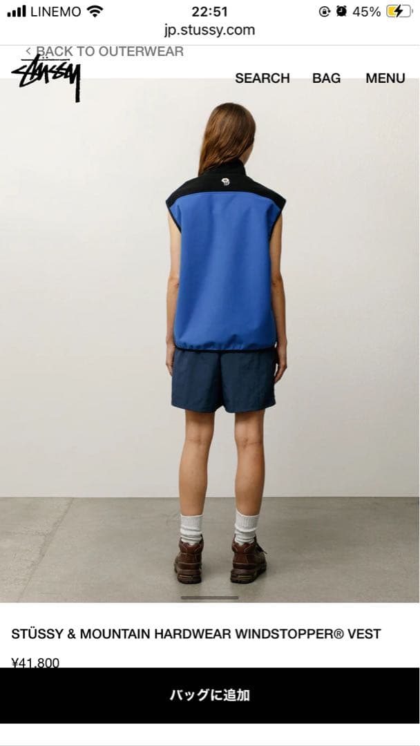STÜSSY MOUNTAIN HARDWEAR WINDSTOPPER ベスト