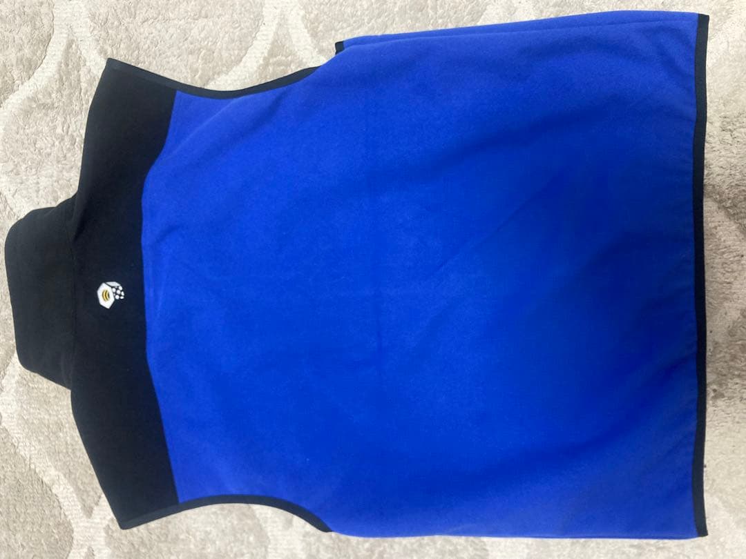 STÜSSY MOUNTAIN HARDWEAR WINDSTOPPER ベスト