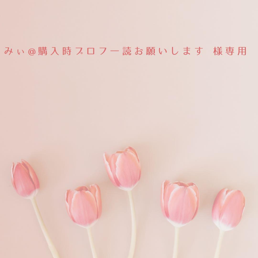 みぃ@購入時プロフ一読お願いします