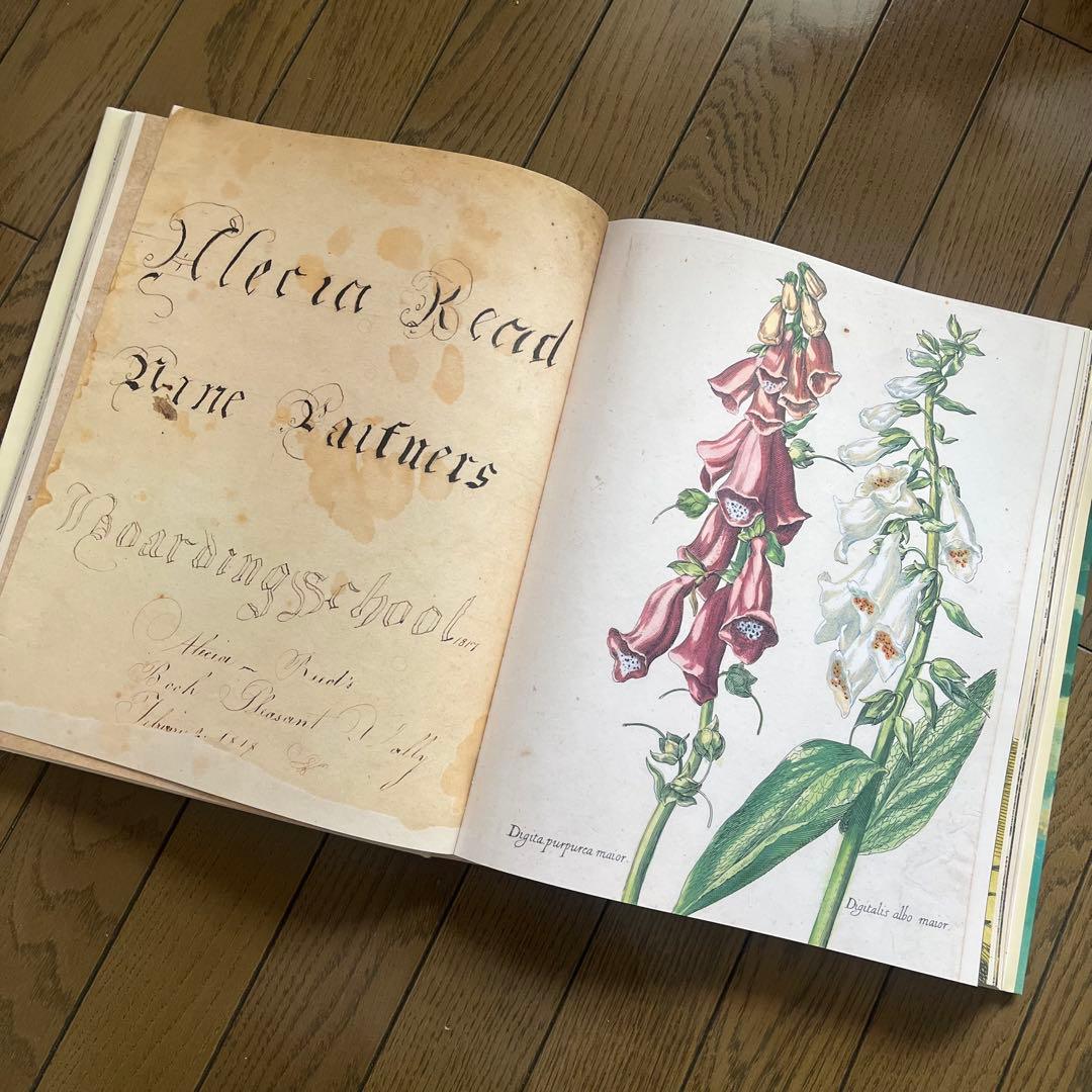John Derian Picture Book ジョンデリアン アートブック
