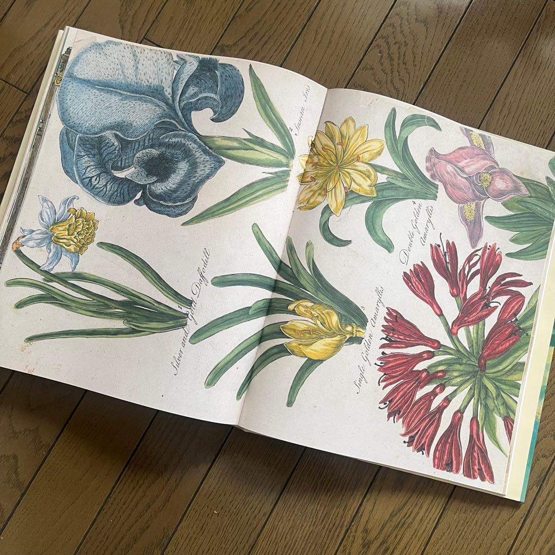 John Derian Picture Book ジョンデリアン アートブック