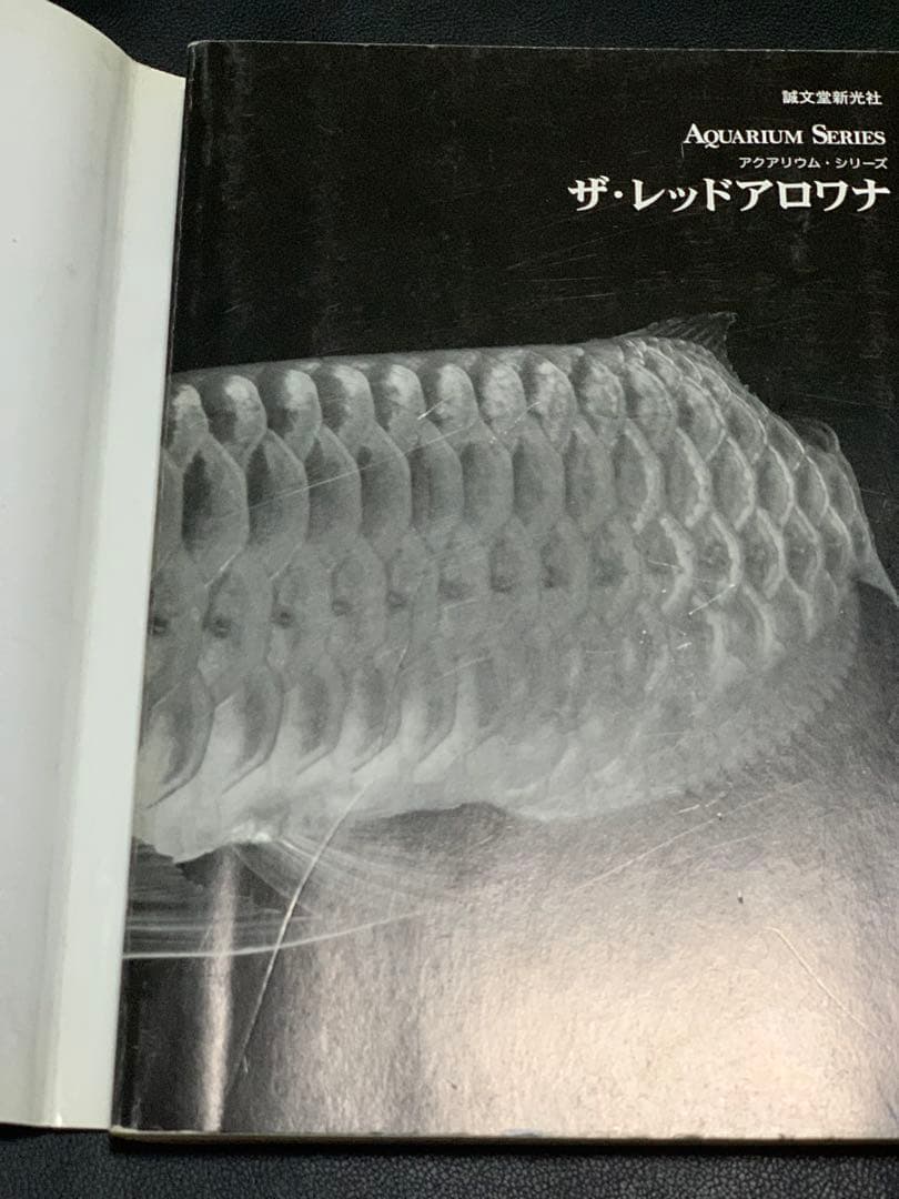 魚本セット