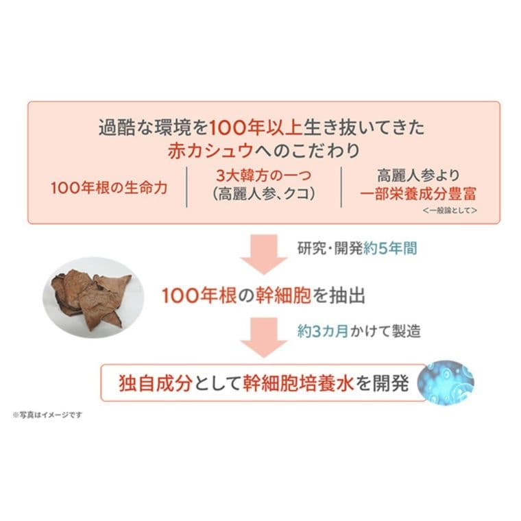 サイムダンプレミアムアクトレススーパーリフティングファンデーション【新品未開封】