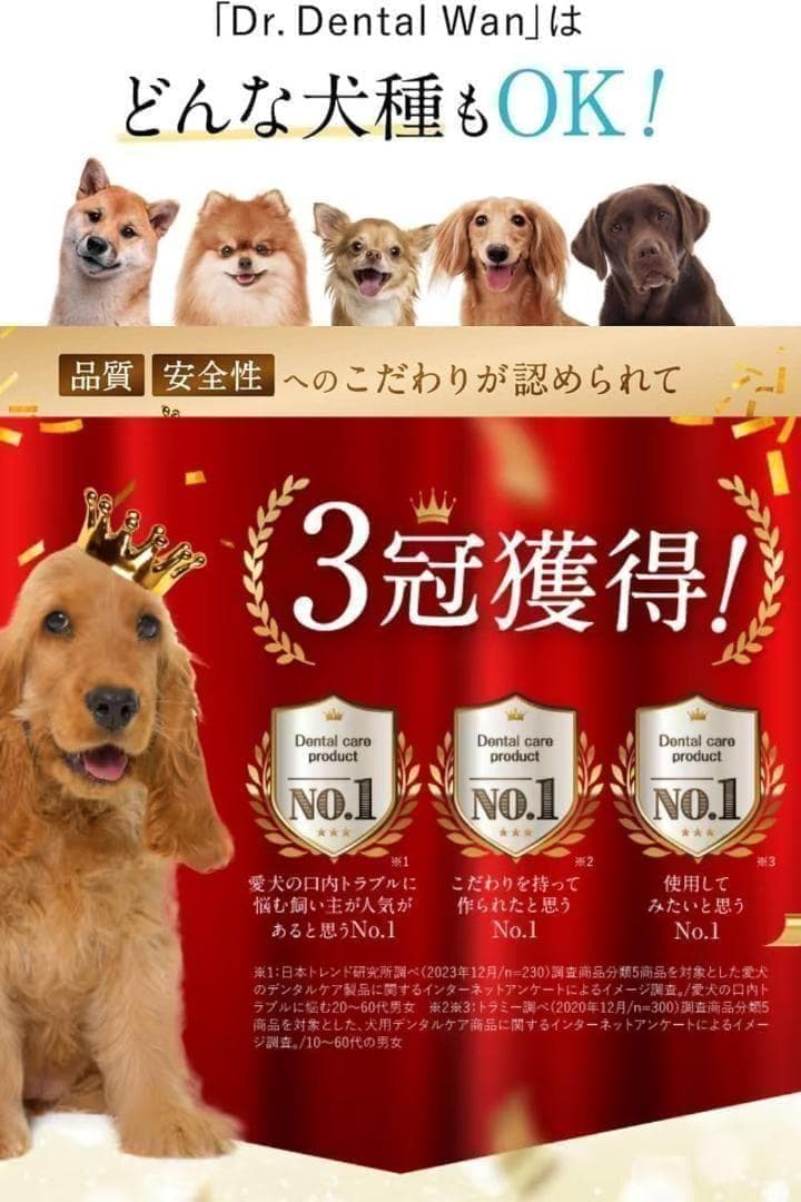 【新品未使用】 ドクターデンタルワン 4個セット 犬 歯磨き