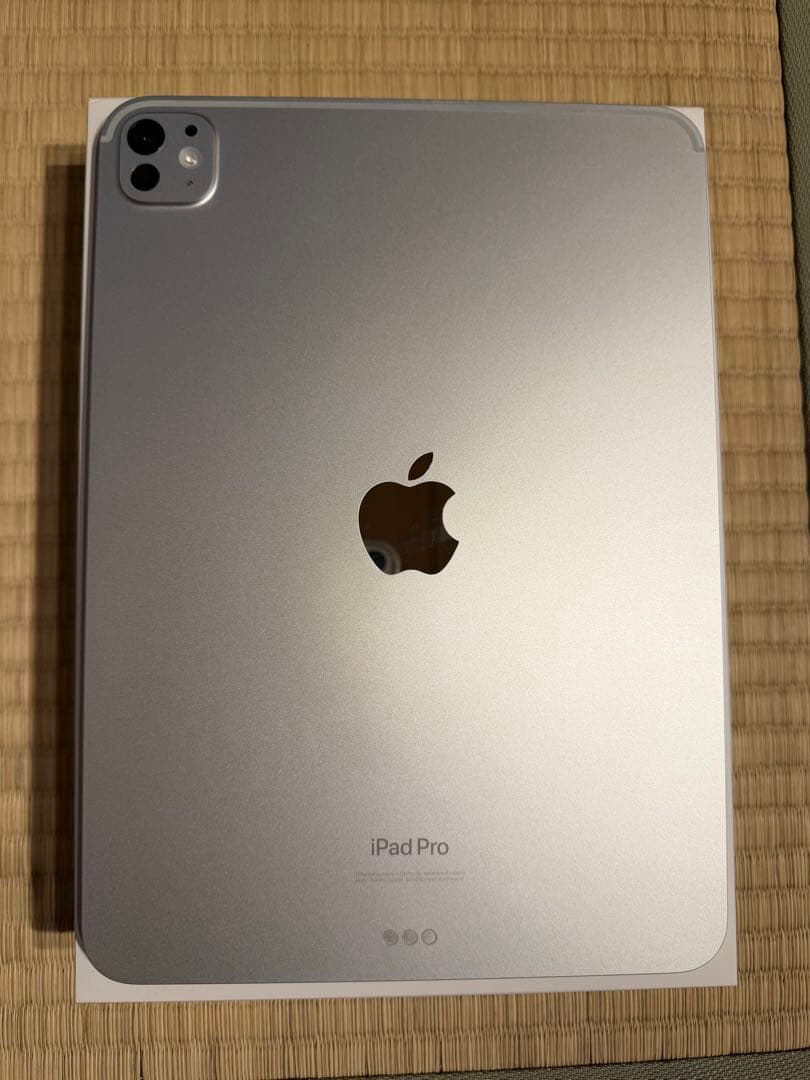 Apple iPad Pro シルバー M4 本体 付属品付き 256GB