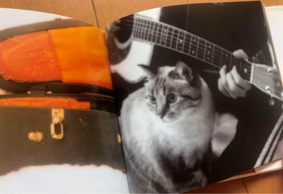 【写真集】TM NETWORK 宇都宮隆 MOGU(モグ) わたしのひとりごと