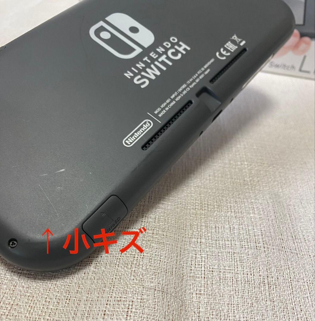 Nintendo Switch Lite　充電器なし　microSD付属