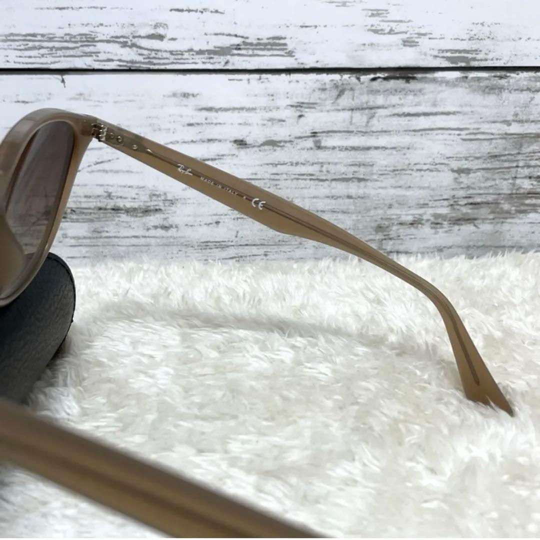 Ray Banレイバン　RB4259-F ブラウン系　ケースセット　ユニセックス