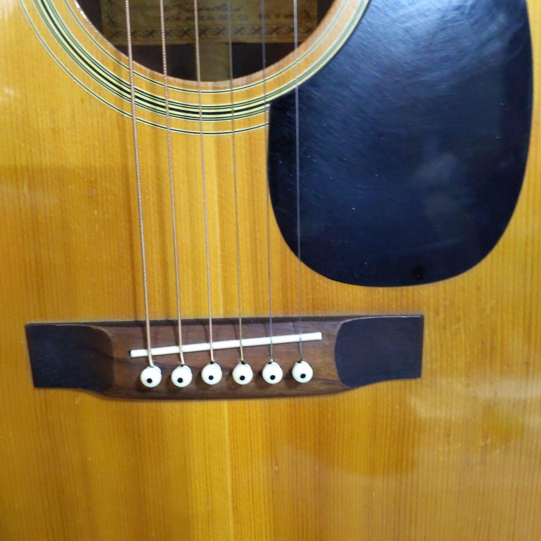 Morris FD-18 アコースティックギター