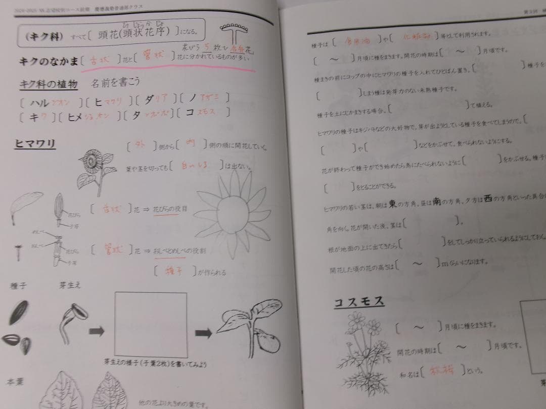早稲田アカデミー＊６年＊ＮＮ前期＊慶應義塾普通部／理科＊全６回完全版＊２０２４年