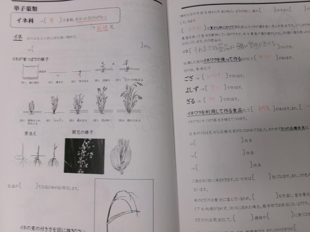 早稲田アカデミー＊６年＊ＮＮ前期＊慶應義塾普通部／理科＊全６回完全版＊２０２４年