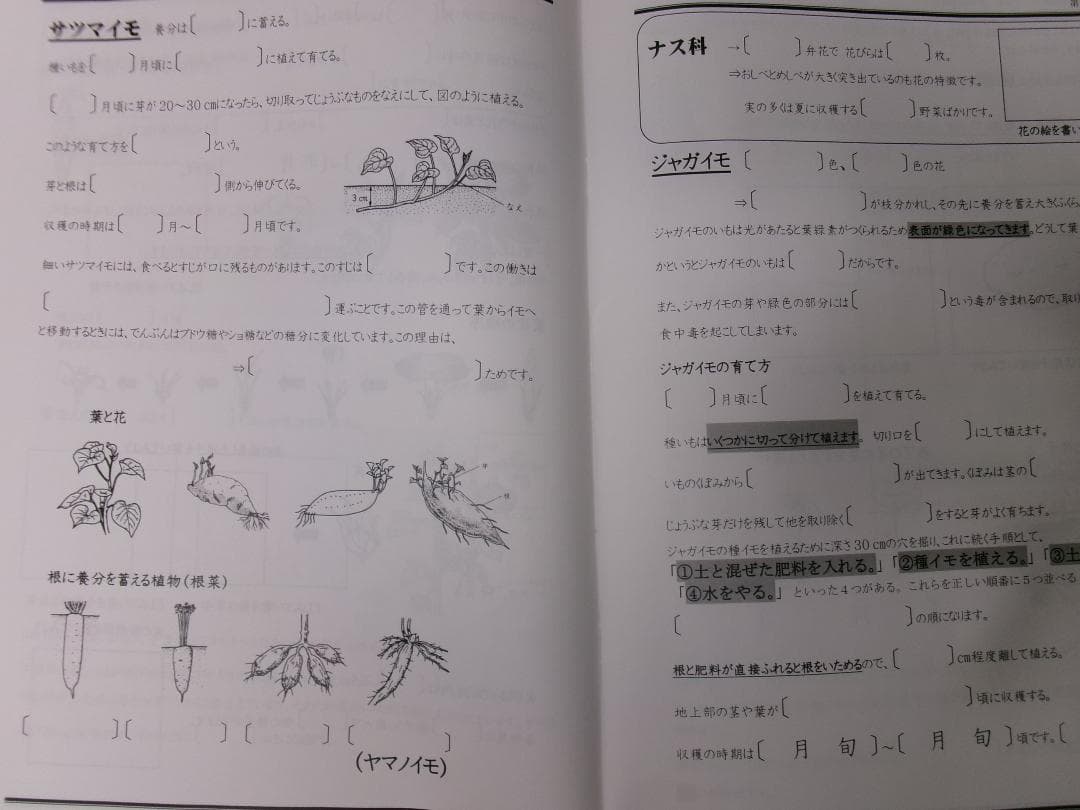 早稲田アカデミー＊６年＊ＮＮ前期＊慶應義塾普通部／理科＊全６回完全版＊２０２４年