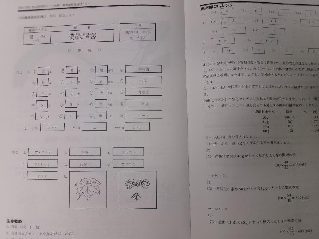 早稲田アカデミー＊６年＊ＮＮ前期＊慶應義塾普通部／理科＊全６回完全版＊２０２４年