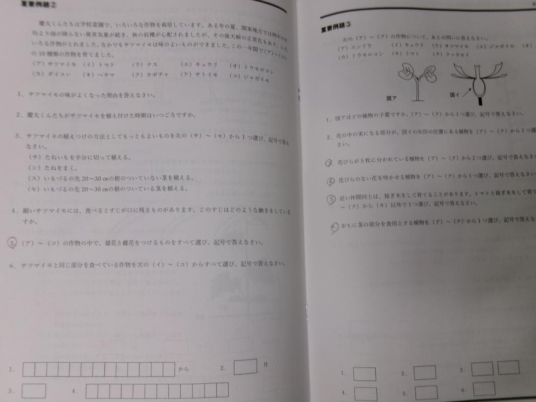 早稲田アカデミー＊６年＊ＮＮ前期＊慶應義塾普通部／理科＊全６回完全版＊２０２４年