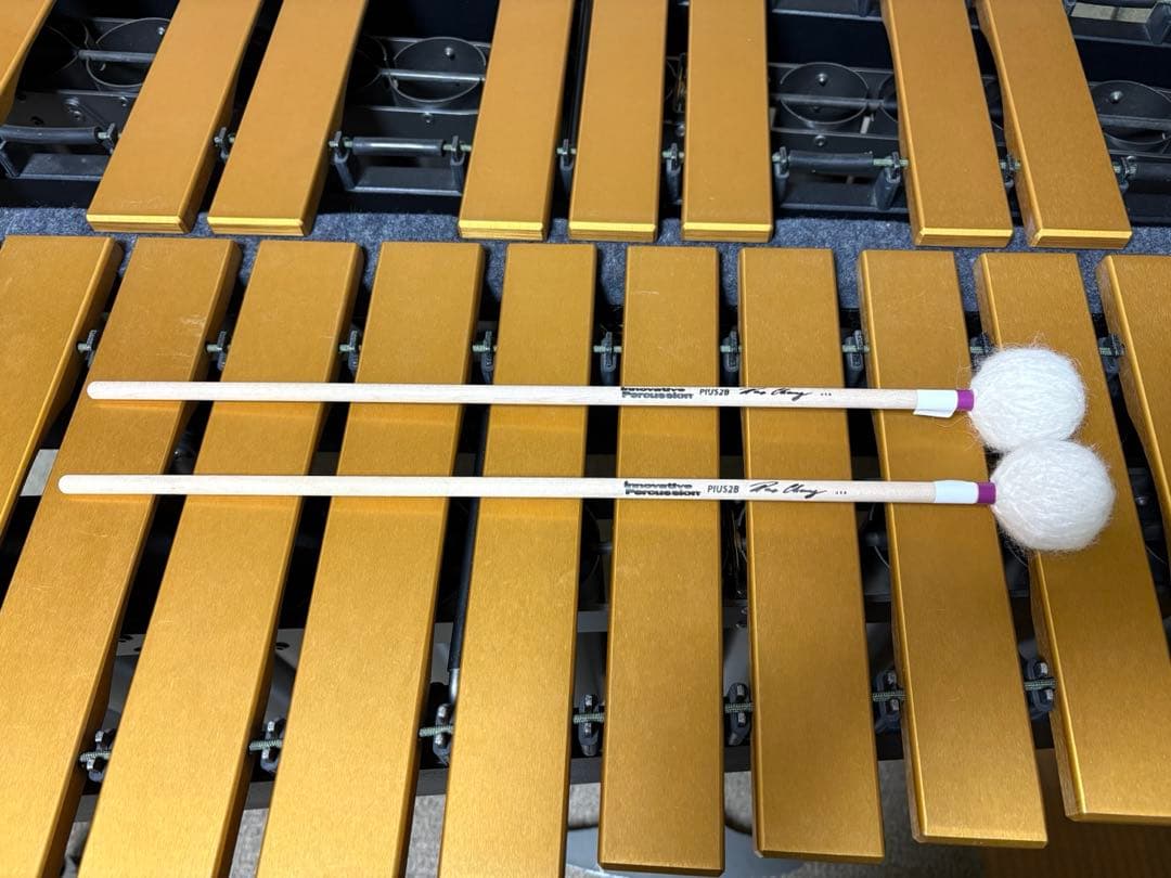 PIUS2B Innovative Percussion パイアスモデル